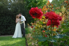 wedding-photography-yorkshire-gallery-48