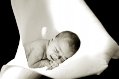 baby-in-lily