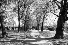 river-walk-york