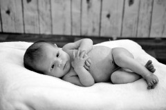 baby-photos-york