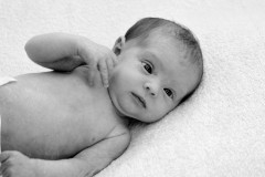 new-born-photo-shoot-york