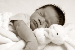 new-born-shoot-york