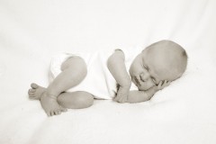 york-baby-photos