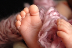 york-professional-baby-photographer-gallery-17