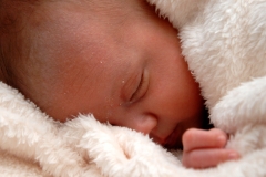 york-professional-baby-photographer-gallery-20